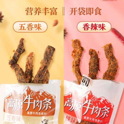 老厨高原牛肉条100g 商品图2