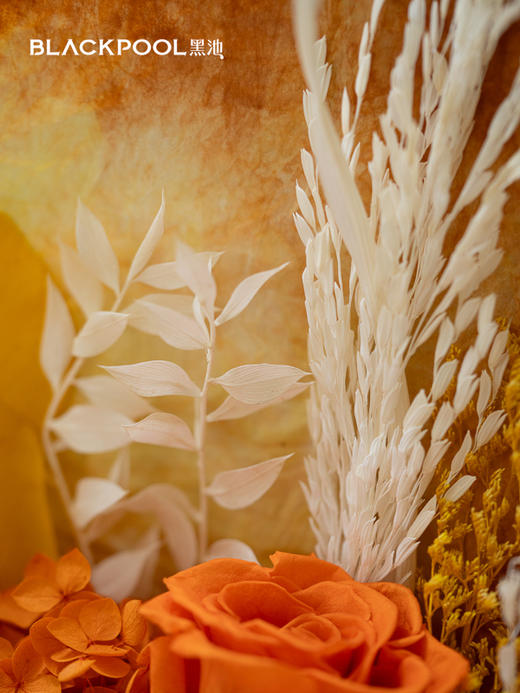 守护花・穗光（橙色） 商品图5