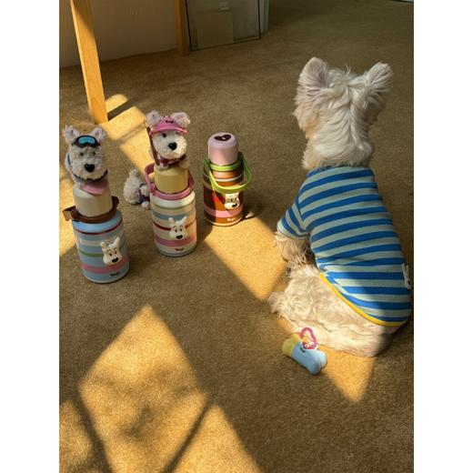 Tagi 哈哈彩色条纹爱心便携保温杯 大容量水杯便携带盖保温杯 商品图4