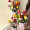 缤纷郁金香抱抱桶（5份起购） 商品缩略图1