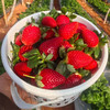 半山草莓（700g）/盒 商品缩略图3