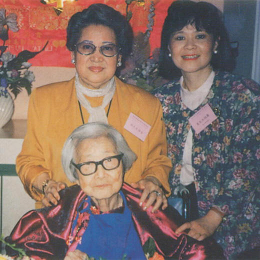 苏雪林自述自画 苏雪林著 中国青年出版社 商品图6