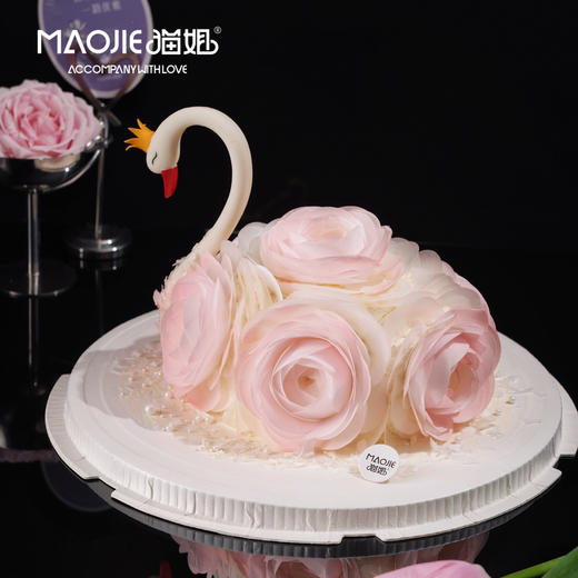 粉羽加冕ss-c3 商品图0