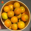 【天然糖果】脆蜜金柑 约250g-500g 商品缩略图0