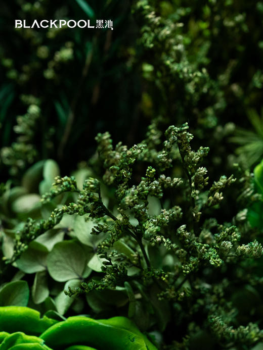 守护花·初芒（绿色） 商品图3