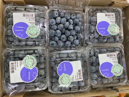 小盒蓝莓2盒 商品图1