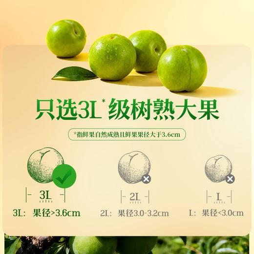 溜溜梅黑糖阿胶清梅80g 商品图3