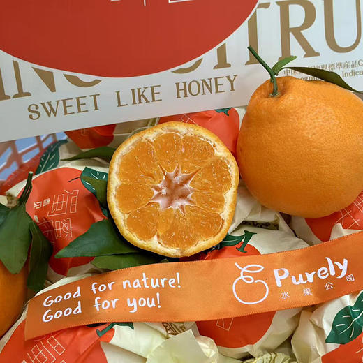 金马鹿「耙耙柑」散装 5个约1kg 商品图8