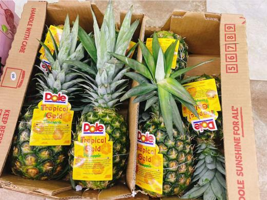 活动都乐凤梨一个 商品图1