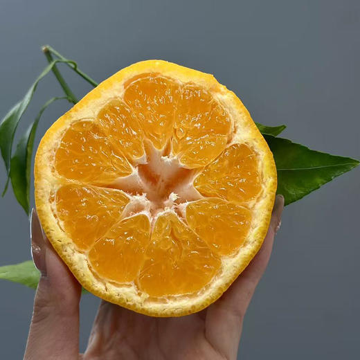 金马鹿「耙耙柑」散装 5个约1kg 商品图6