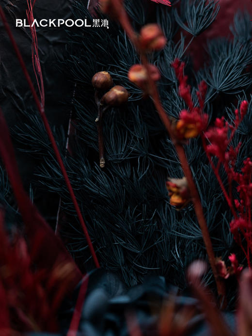 守护花・炽焰（红色） 商品图5