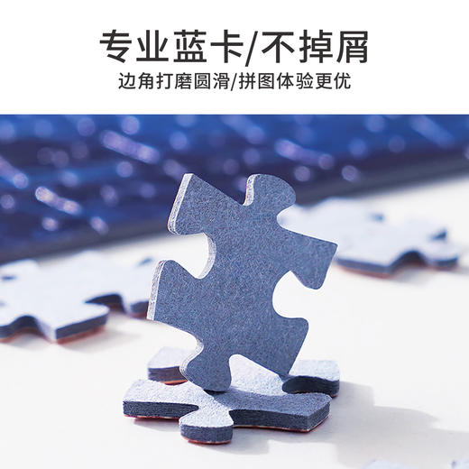 TOi图益-异拼乐-潮玩拼图镜面系列-自由的一天-相框套装 商品图5