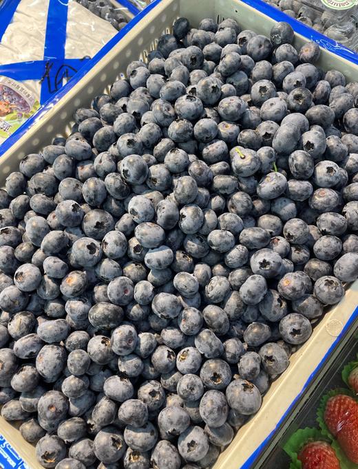 散蓝莓一斤 商品图1