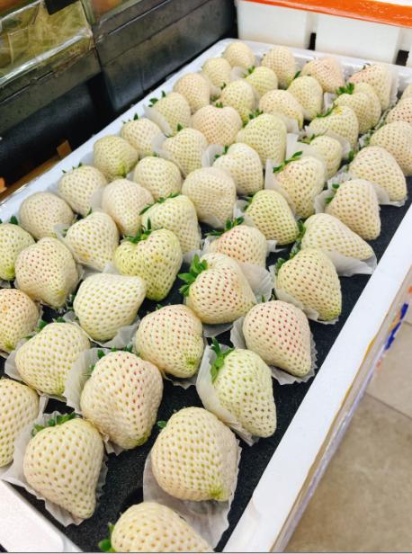 奶油白草莓一斤 商品图0