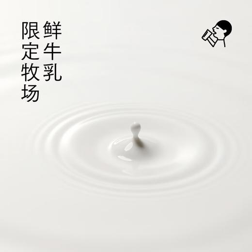 喜茶小奶茉牛乳茶奶茶饮料350ml 商品图2