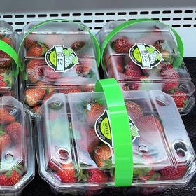 半山草莓（700g）/盒