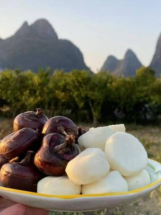 【有机荔浦马蹄】（3月1日改发顺丰，到时候价格会调整，这两天暂不改价） 如果是当水果吃的话，尽量买带皮的，做食材可以考虑去皮， 商品图1