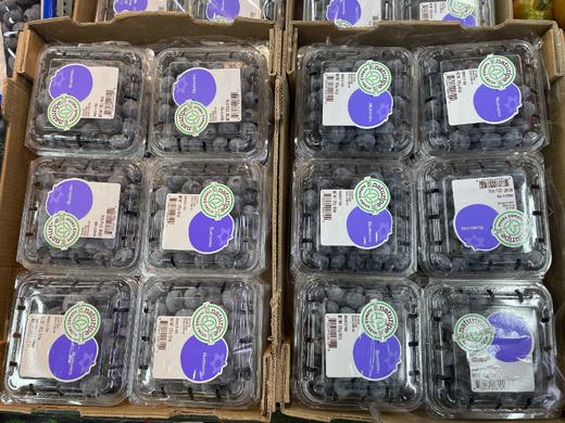 小盒蓝莓2盒 商品图0