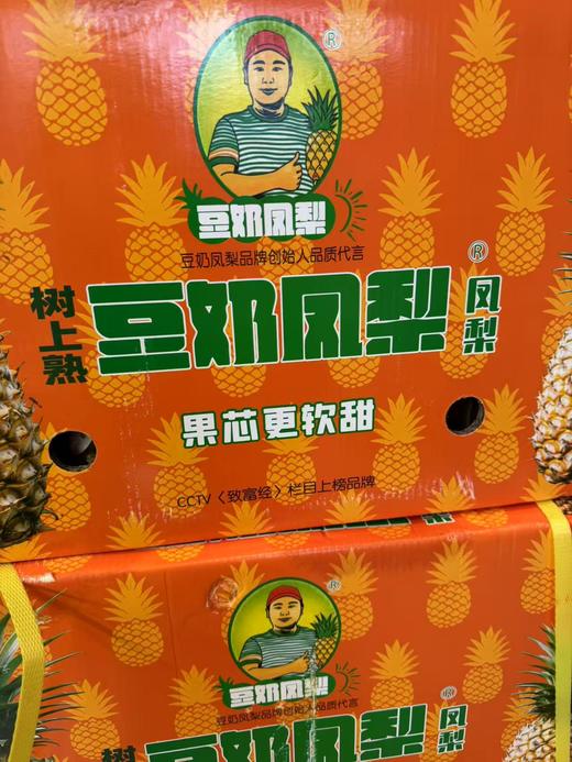 豆奶凤梨 2.4斤左右/枚 商品图2
