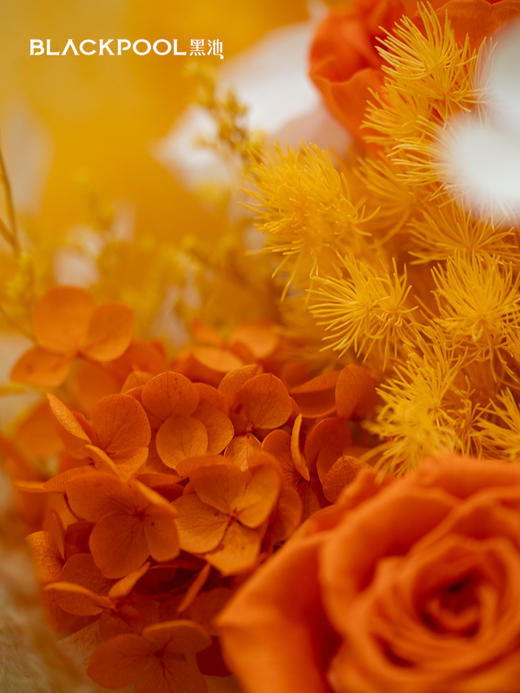 守护花・穗光（橙色） 商品图6