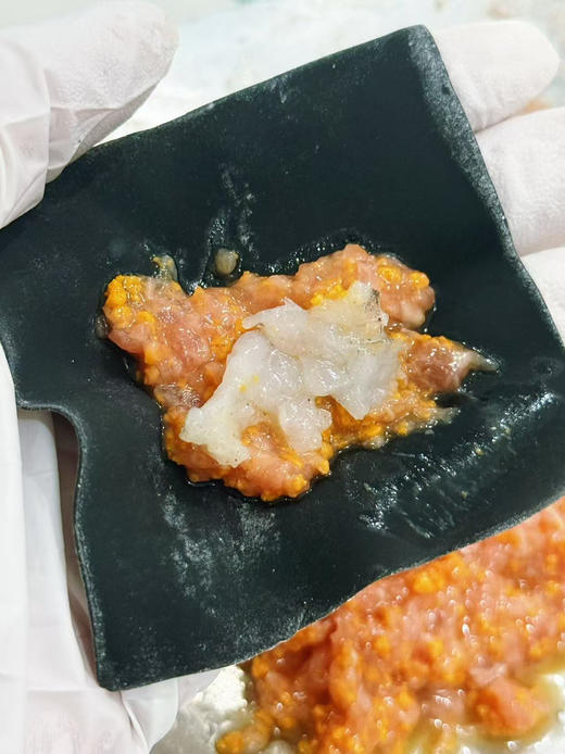 网红手工云吞馄饨10颗装 多种口味可选 商品图7