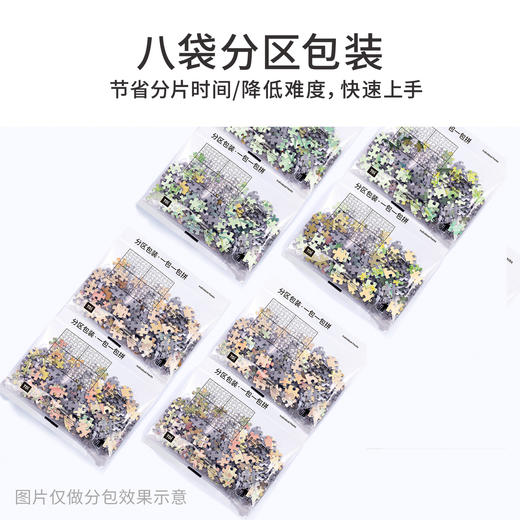 TOi图益-潮玩拼图系列-花序-1000片*2-分包款 商品图5