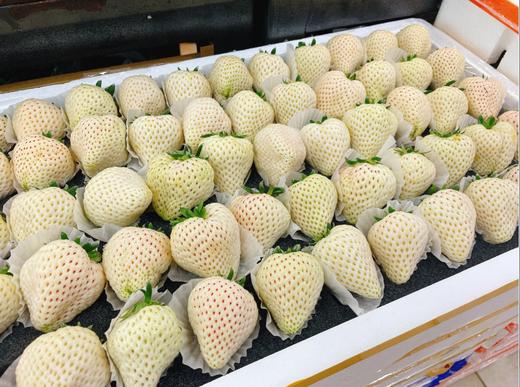 奶油白草莓一斤 商品图1