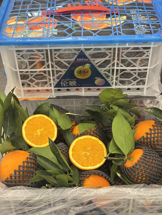 29.8元一件湖北秭归伦晚鲜橙毛重约8.5斤左右 商品图0