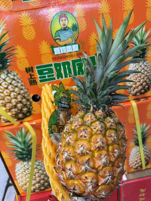 豆奶凤梨 2.4斤左右/枚 商品图1
