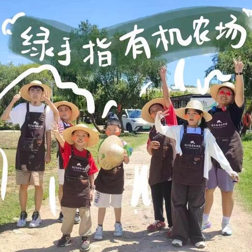 三月活动｜有机树屋共建招募 | Farm activities 商品图0