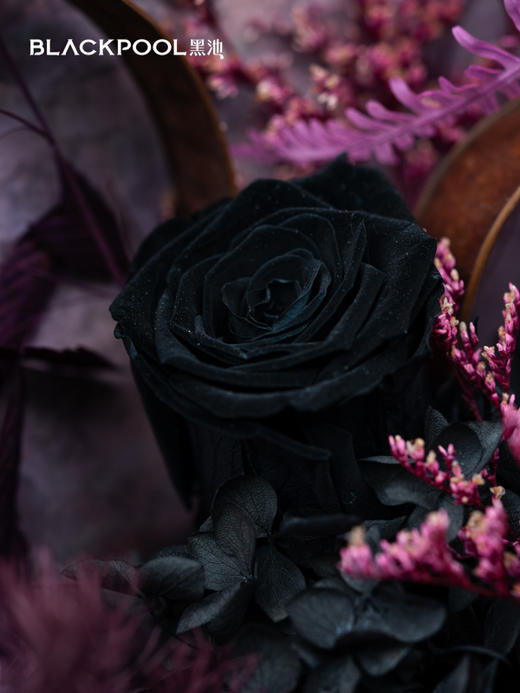 守护花・紫霞（紫色） 商品图3