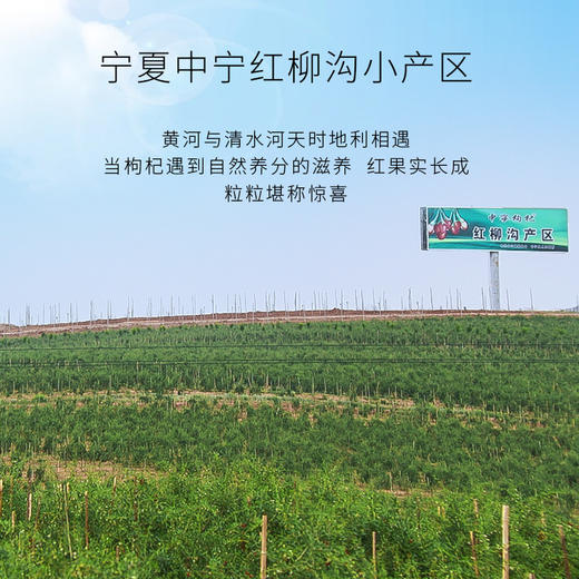 玺赞庄园枸杞 255克/袋*3袋装 商品图3