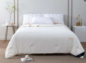 【远梦】纯蚕丝四季被