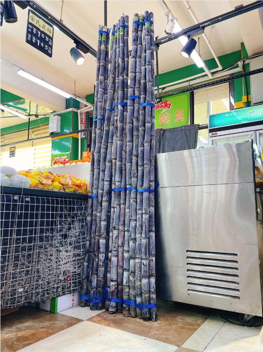 甘蔗一根 商品图0