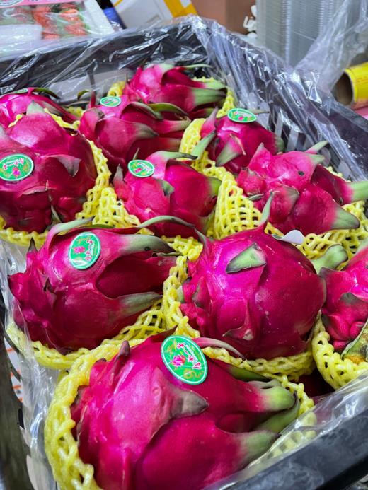 红心火龙果一个 商品图0