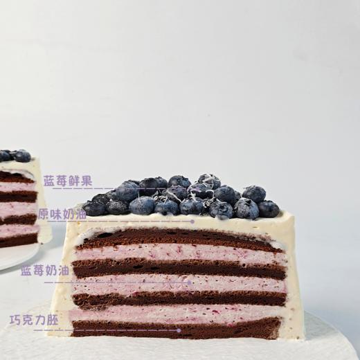 蓝莓满萃 商品图5