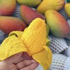 海南树熟贵妃芒 芒果 商品缩略图5