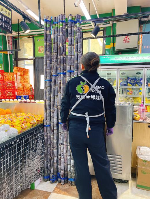 甘蔗一根 商品图1