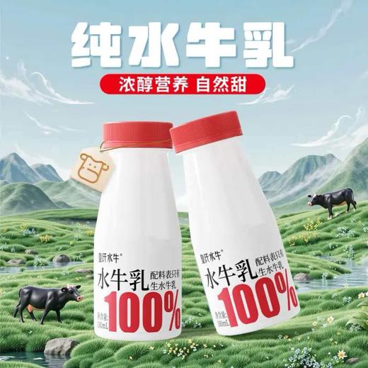 皇氏乳业皇氏水牛100%纯水牛奶（4.5g蛋白+180mg钙） 180ml×9瓶 商品图4