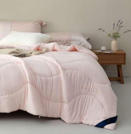 【远梦】蚕宝柔肤四季被 商品图0