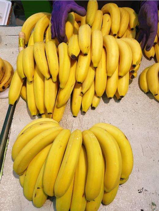 国产香蕉3斤 商品图0