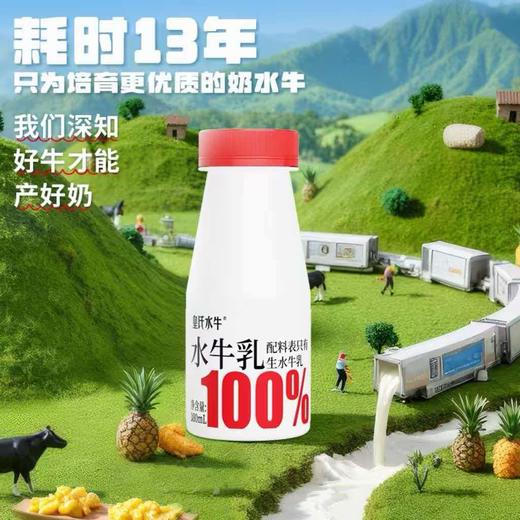 皇氏乳业皇氏水牛100%纯水牛奶（4.5g蛋白+180mg钙） 180ml×9瓶 商品图2