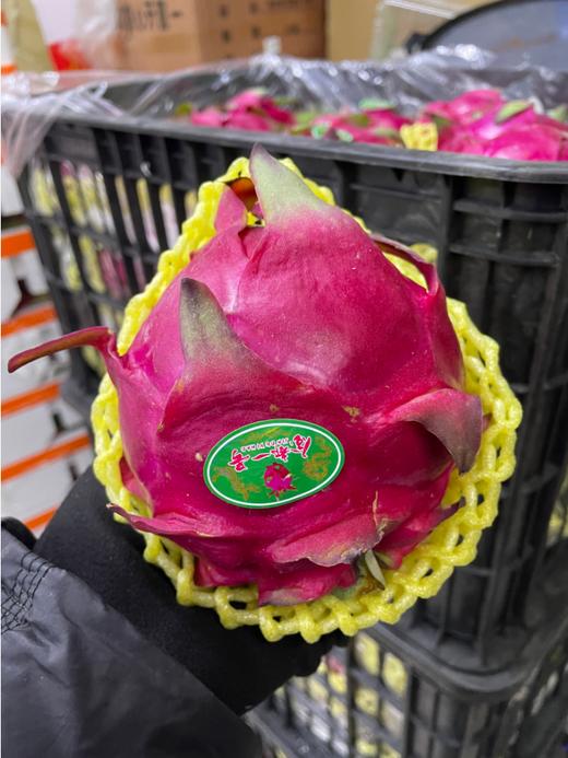 大红心火龙果3个 商品图2