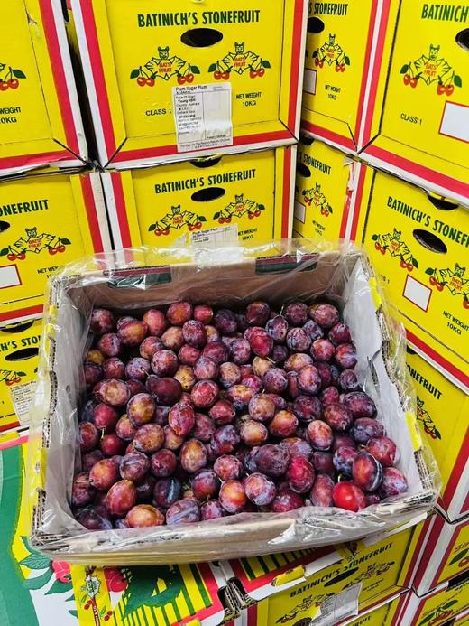 澳洲蝙蝠牌Sugar Plums西梅 商品图2