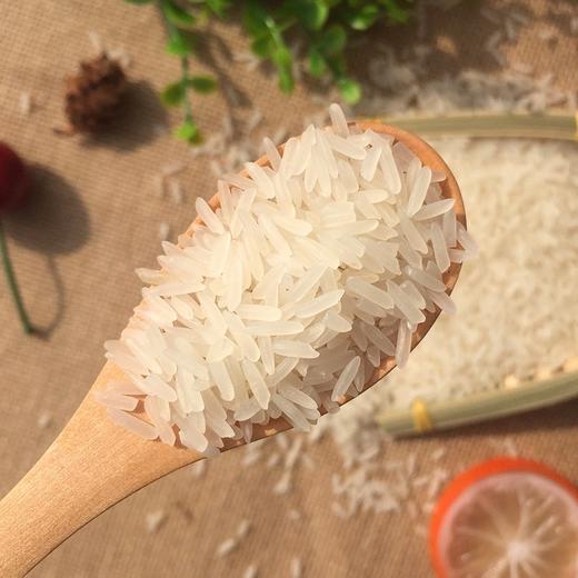 【严选】湖北潜江虾乡稻江汉大米 优质当季新米 虾稻小丝苗米5kg/袋（厂家直发） 商品图1