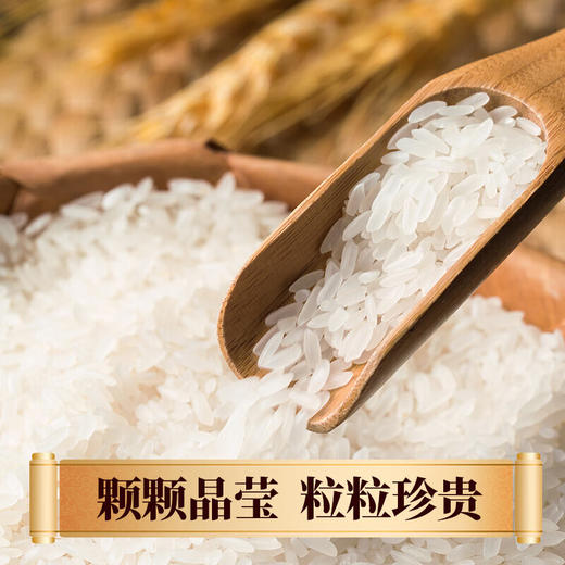 【严选】湖北潜江当季新米籼米虾稻油粘米  虾乡稻江汉大米虾稻油粘米5kg/袋（厂家直发） 商品图2