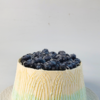 蓝莓满萃 商品缩略图4