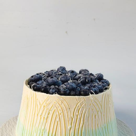 蓝莓满萃 商品图4