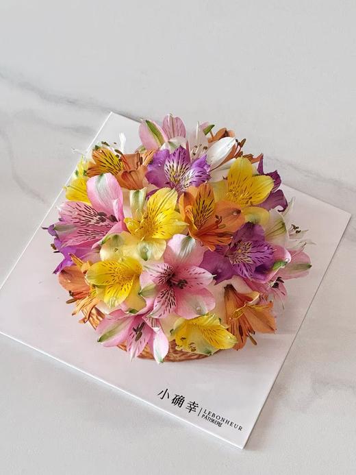 多彩六初·巴斯克蛋糕 商品图0