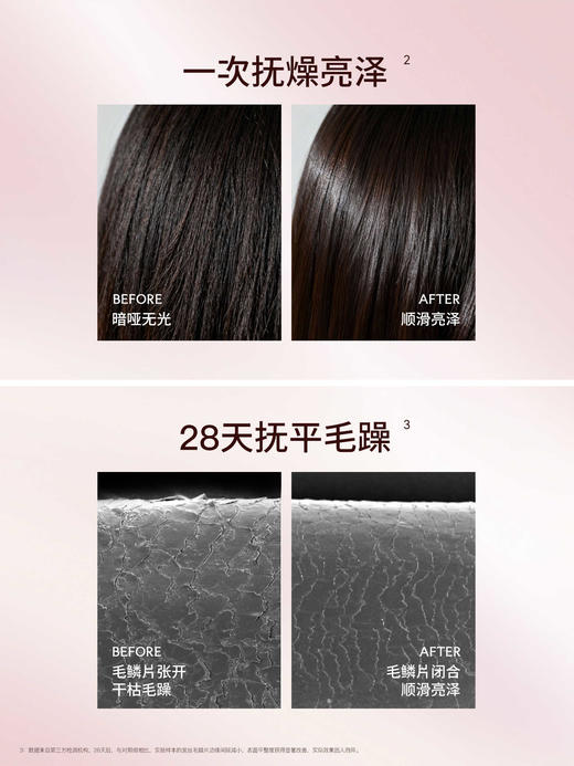 发玛21山茶油菁纯滋养护发精油95ml/118250 护发柔顺改善毛躁 商品图4